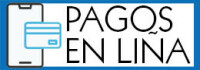PAGOS EN LIÑA